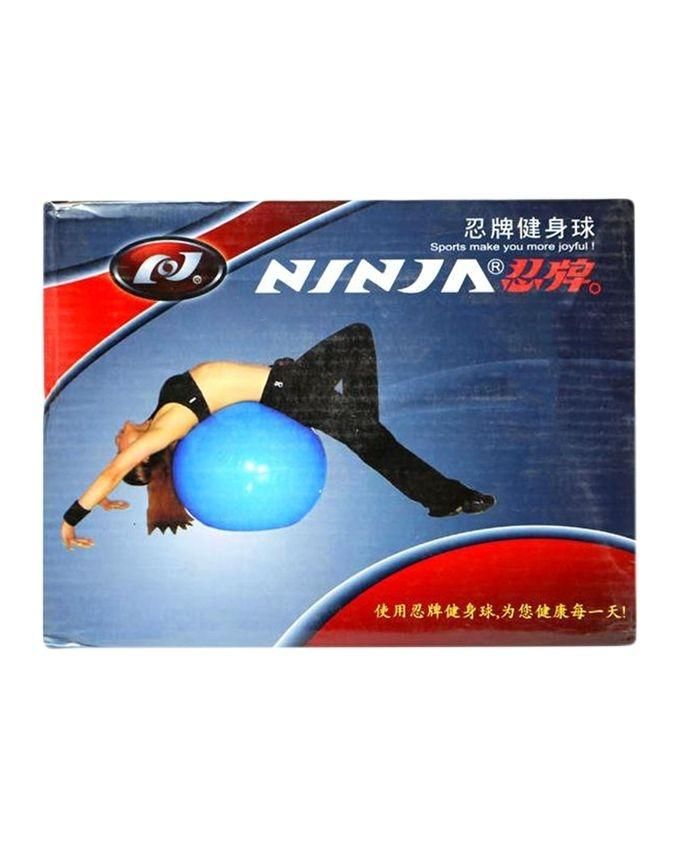 Gym Ball - Blue