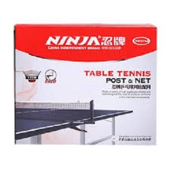 Table Tennis Post and Net