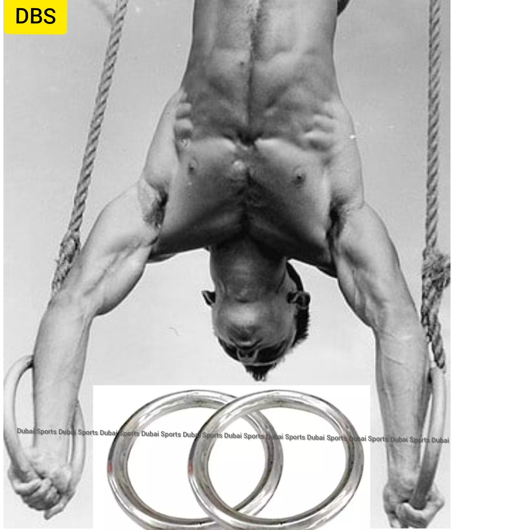 Combo Pack of Two Pieces of Chin Up Ring - Silver on Dubai Sports