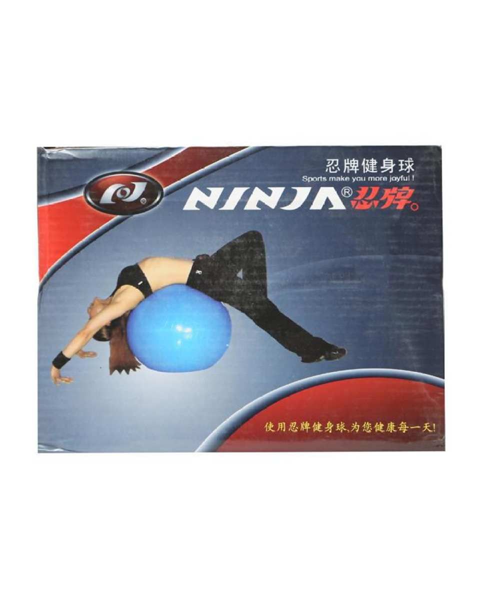 Plain Gym Ball - Blue