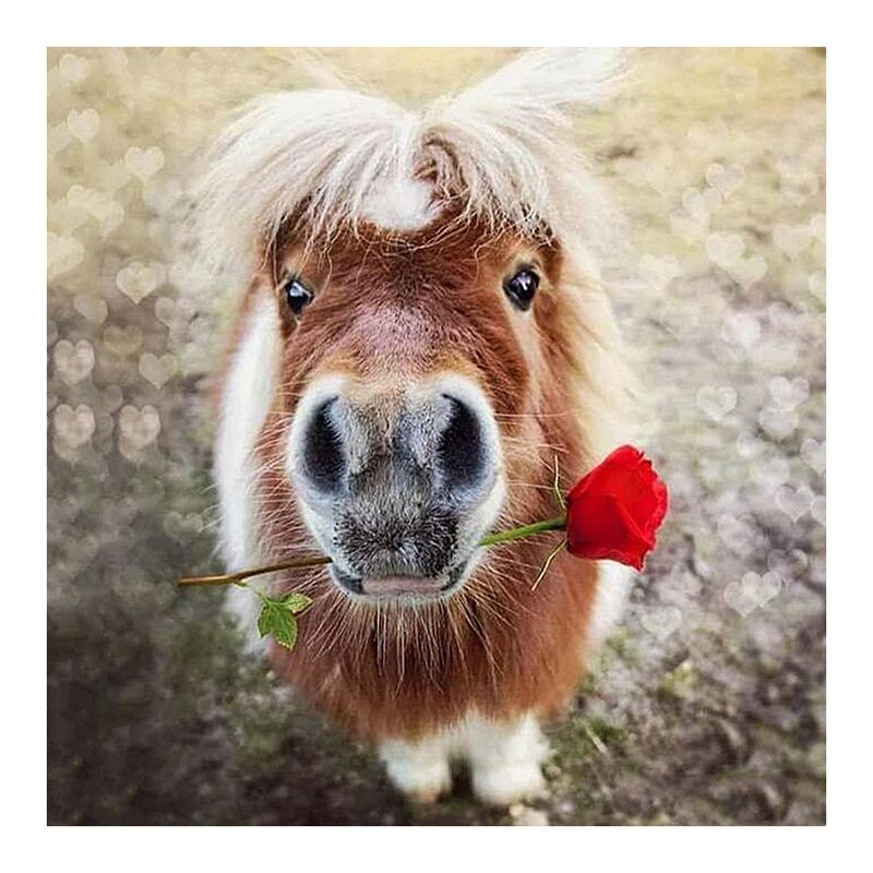 Round Drill DIY Diamond Painting "Horse & Rose" 3D Rhinestone Embroidery Cross Stitch 5D Home Decor Gift