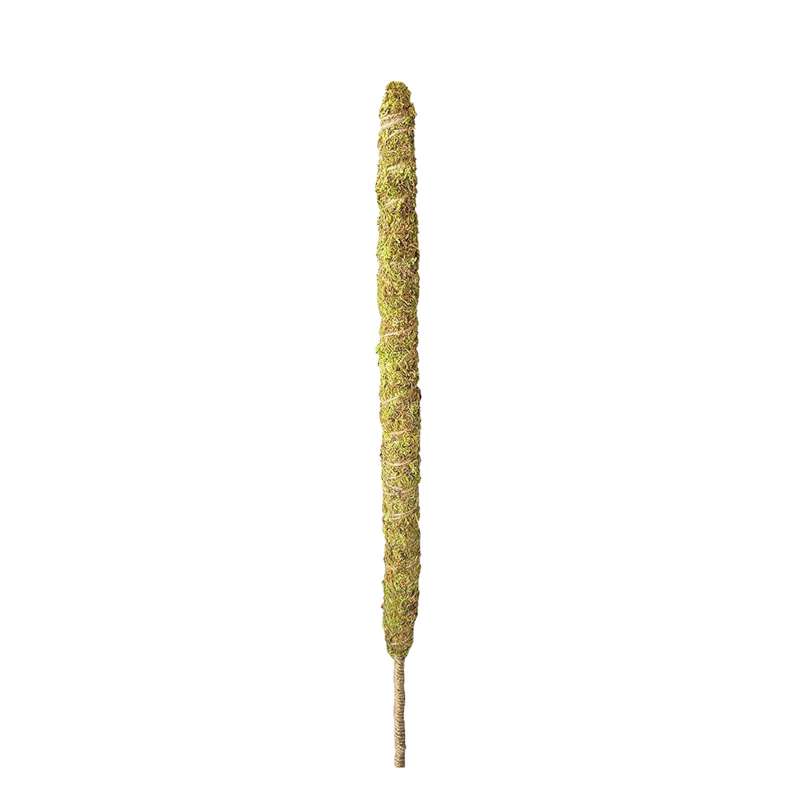Climbing Stick Durable Prtical Water Retention Climbing Stick
