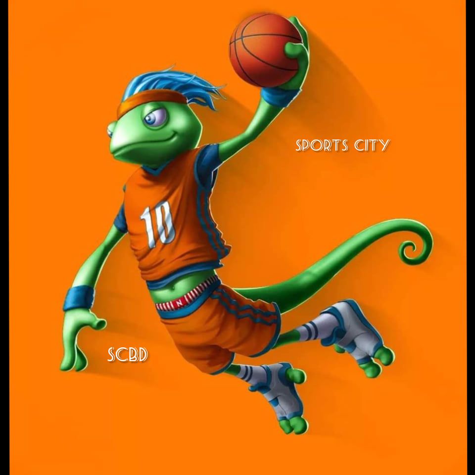 Basket ball Ninja _ premium Quality _ SCBD