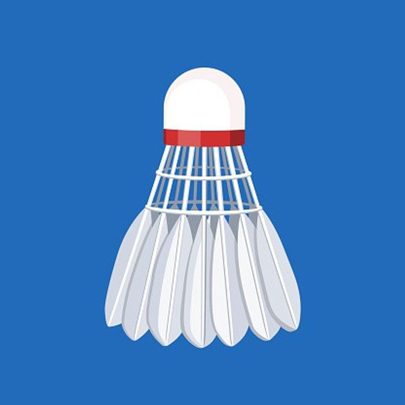SaraSport NP-100&Black Feather Shuttle - White  (Fast, 79, Pack of 2)
