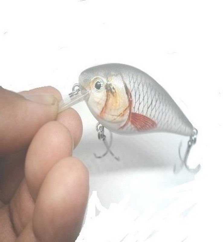 JUST ONE CLICK Hard Bait Plastic Fishing Lure  (Pack of 1, Size 6)