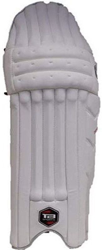 KK CRAFT Test Legguard for Cricket Keeping Pad Running Pad for Men (Youth) Cricket Guard Combo  (White)