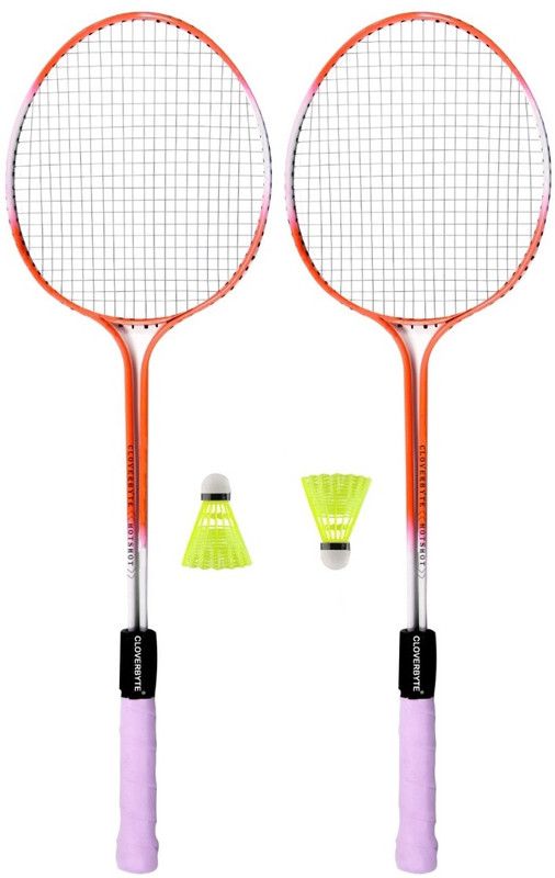 NSP TRADERS Multicolour Badminton set (pack 2 ) with 2 Shuttle Badminton Kit