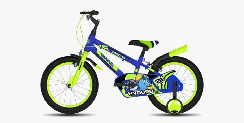 Groovycycle Cycle 29 T Fat Tyre Cycle  (Single Speed, Multicolor)