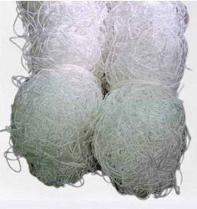 ZTSPORTS FOOTBALL NET Football Net  (White)