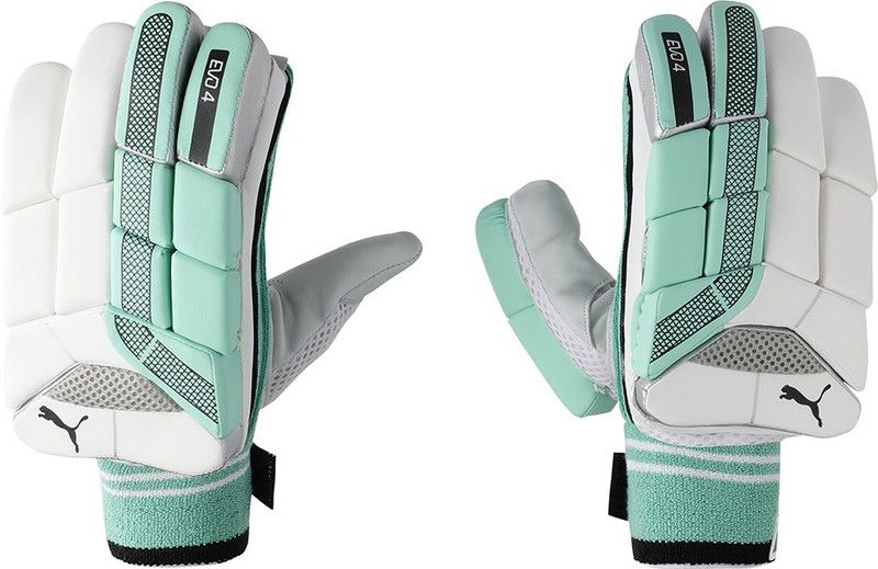 PUMA EVO 4 Batting glove Batting Gloves  (Green)