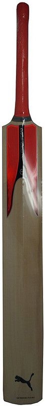 PUMA Evo Speed 5 TB Bat KASHMIR WILLOW Kashmir Willow Cricket Bat  (600)