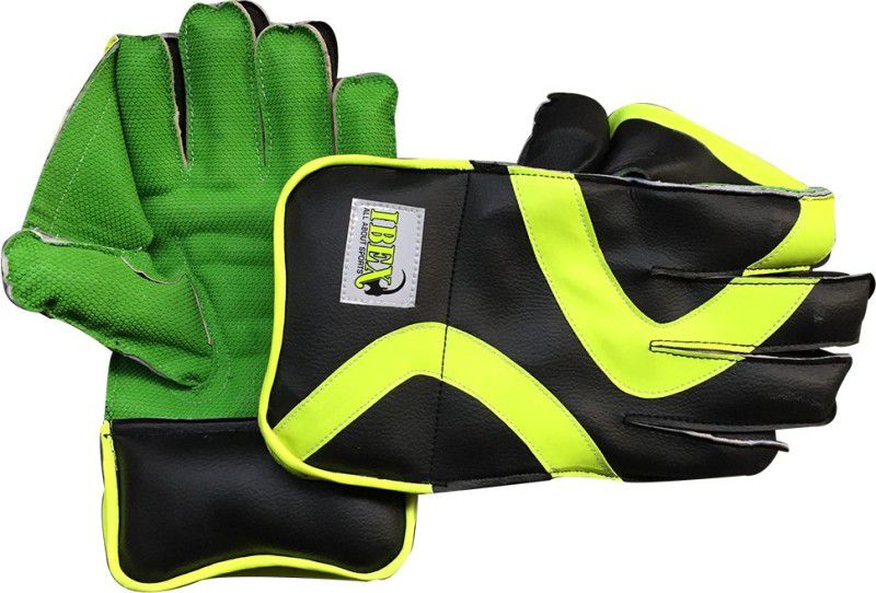 IBEX Practice Wicket Keeping Gloves Wicket Keeping Gloves  (Green)