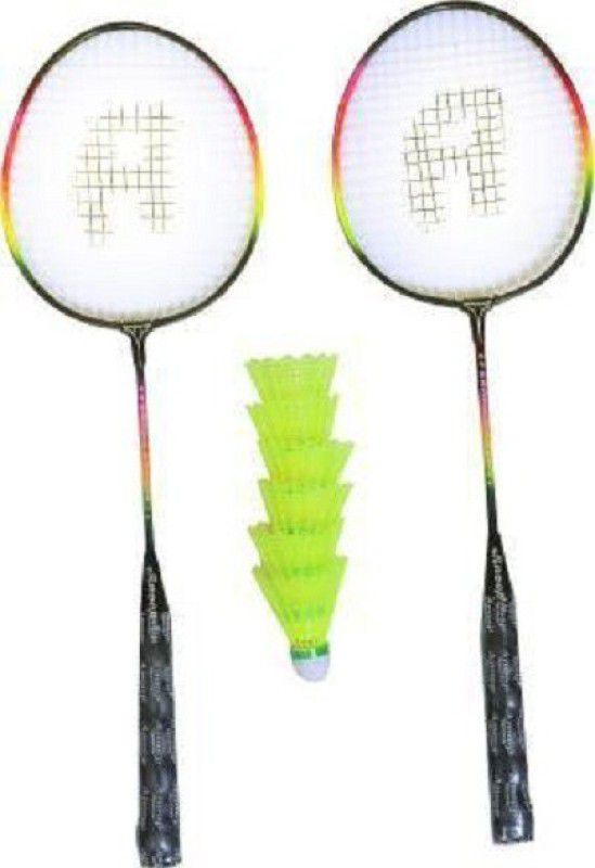 NSP NSP36_Indoor-Outdoor Game 2pc Racket with 6pc Shuttle with Cover Badminton Kit