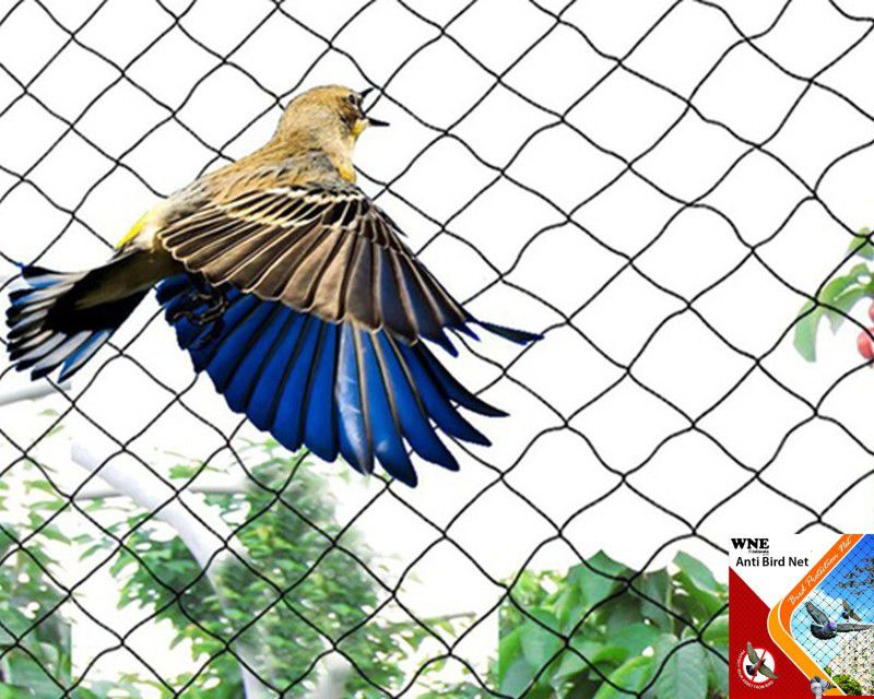 WNE Jaliwale Pigeon Net Anti Bird Net for balcony Pigeon Net for balcony 10ftX18ft(180 sq.ft) Camping Net  (White)