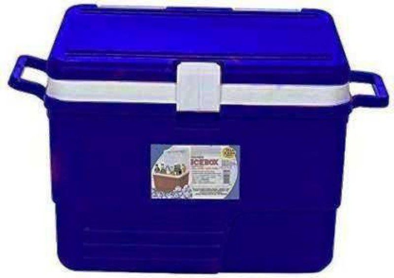 Randal Multipurpose Insulated Chiller ice box ( 25 L - Blue ) Ice Box  (Blue, 25 L)