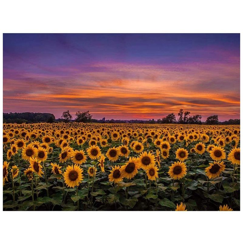 Diamond Painting Decorations for Sunflower Cross Stitch Handmade Gift Wall Stickers Round Diamond