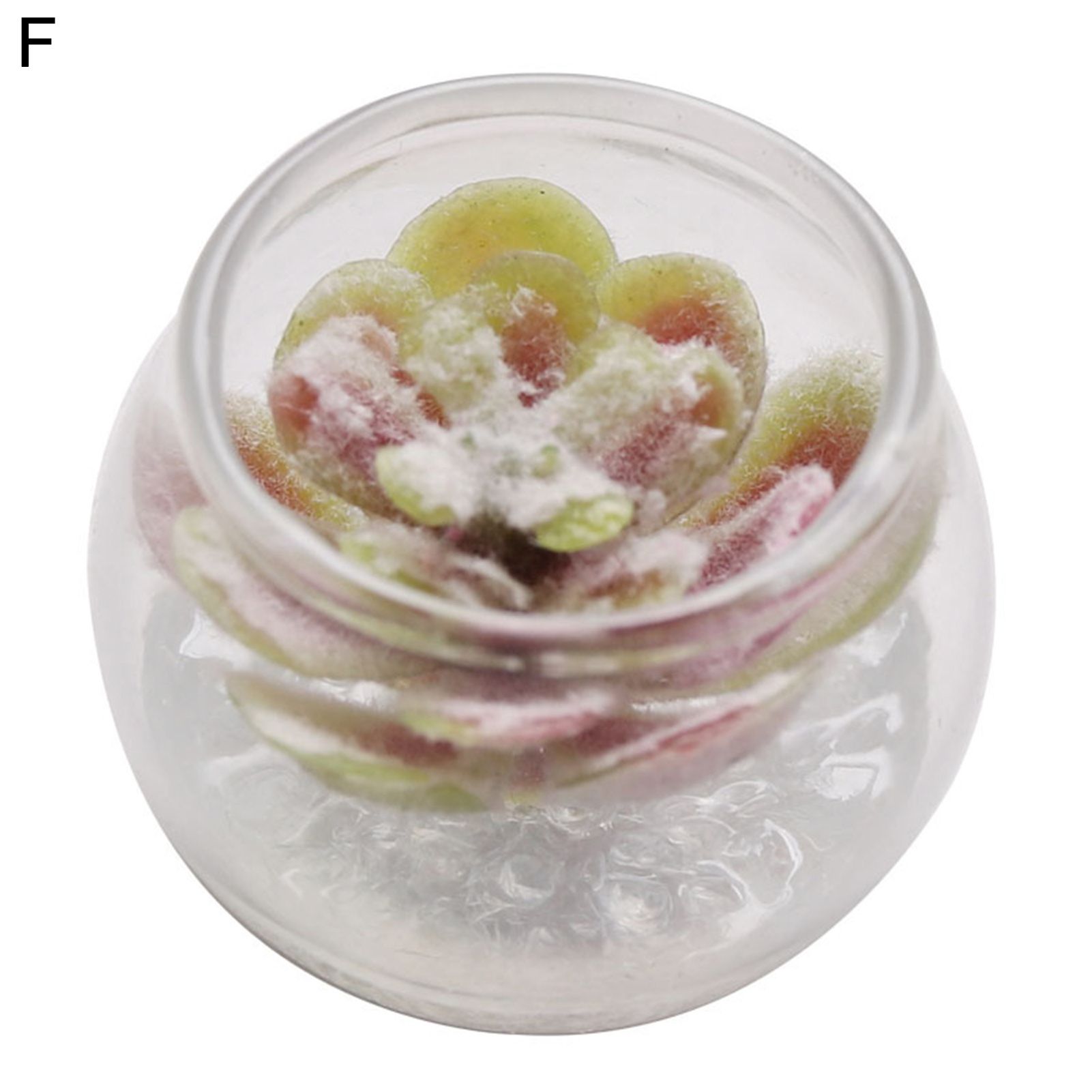 Dollhouse Toy Fine Workmanship Artificial Tiny Succulent