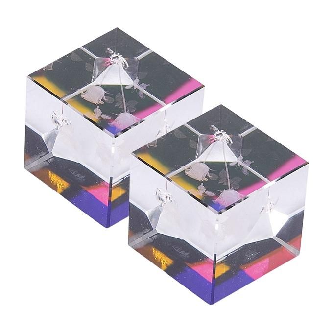 Paper Weight - 2 Pieces - Multicolor