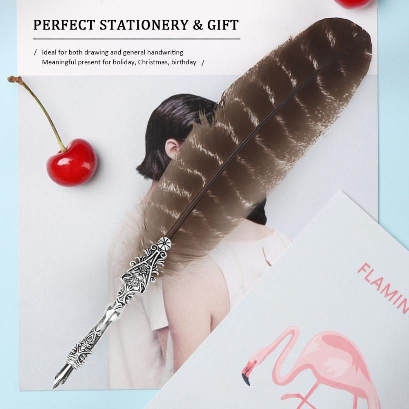 Calligraphy feather pen with feather pen set, feather pen, 5 replacement nibs, classic vintage feather fountain pen for home decoration ft
