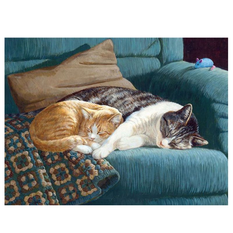 DIY Round Diamond Diamond Painting, Diamond Painting Exquisite Set, Cat Diamond Painting on the Sofa