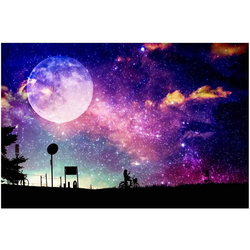 DIY Diamond Painting Kits for Adults,Full Drill Crystal Rhinestone Embroidery Pictures Moon Starry Sky Bike Paintings