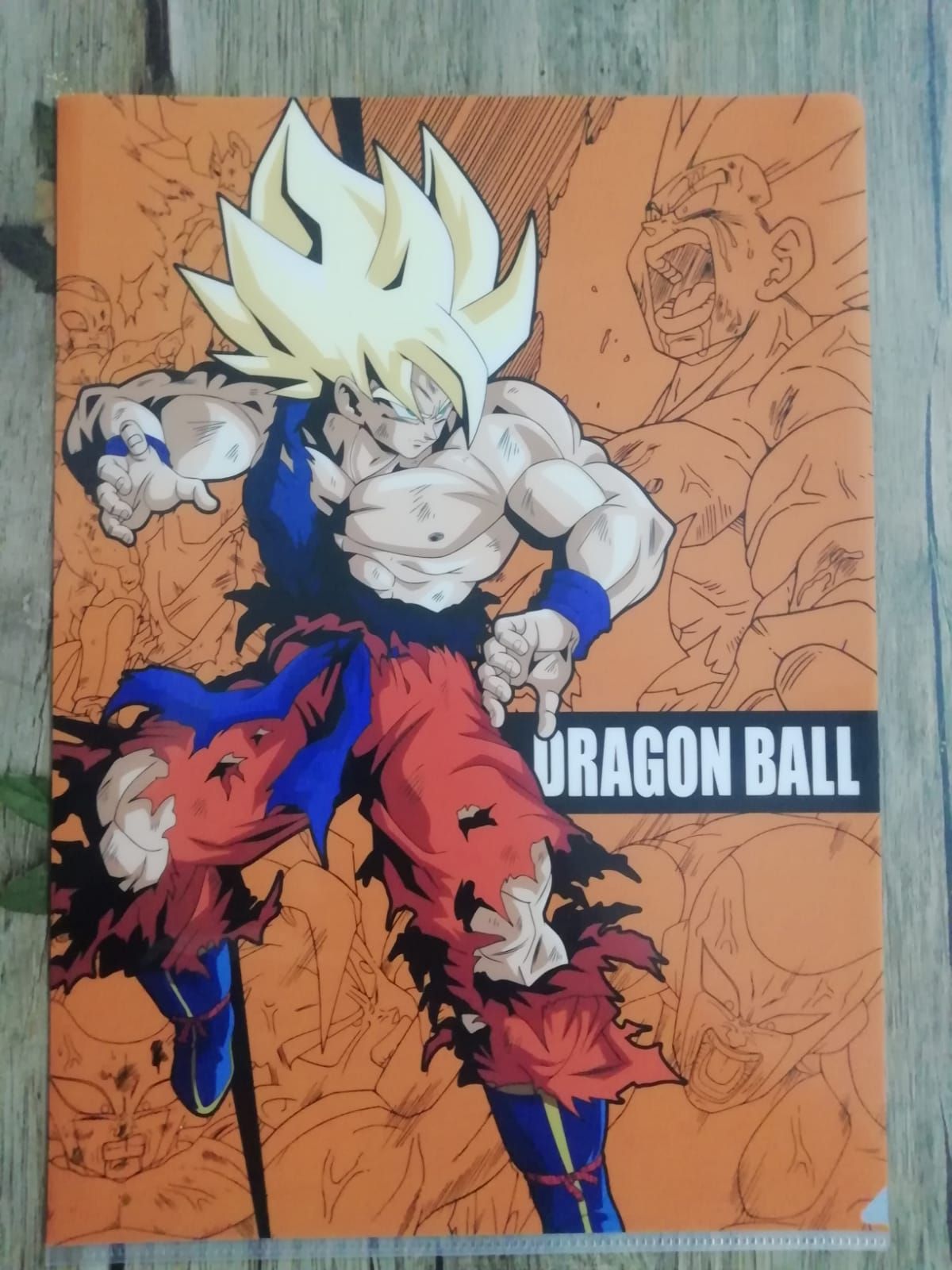 Folder; Dragon Ball Z & Super A4 File Folder