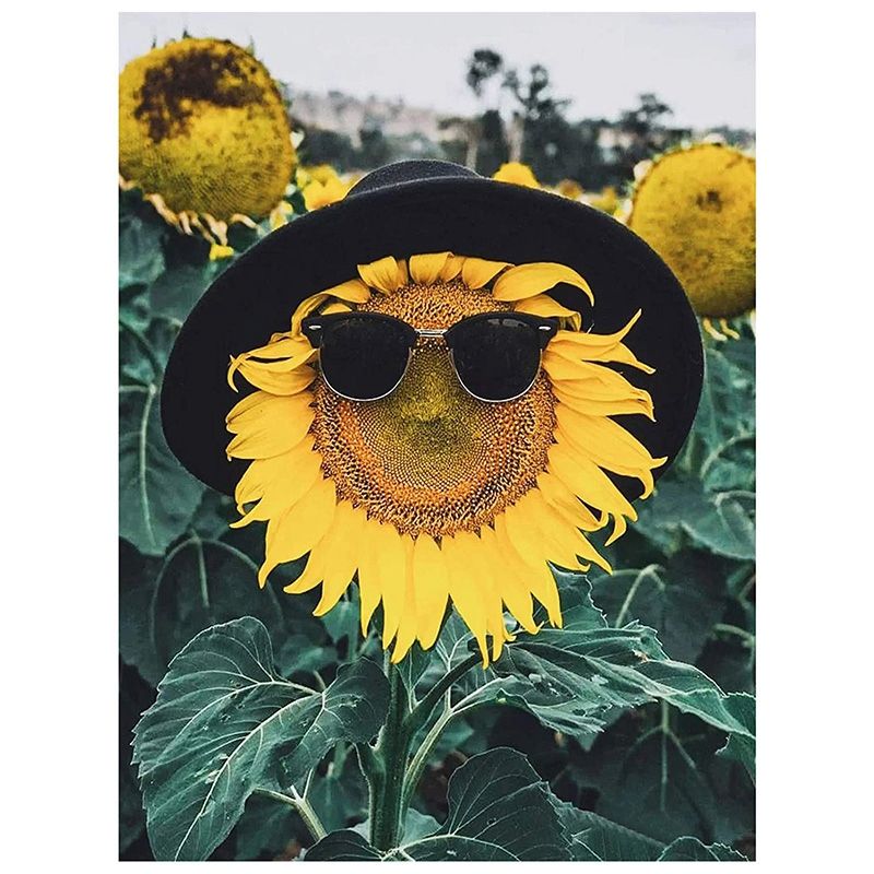Round Diamond Full Diamond Diamond Painting Set Living Room Dining Room Decoration Children DIY Sunglasses Sunflower