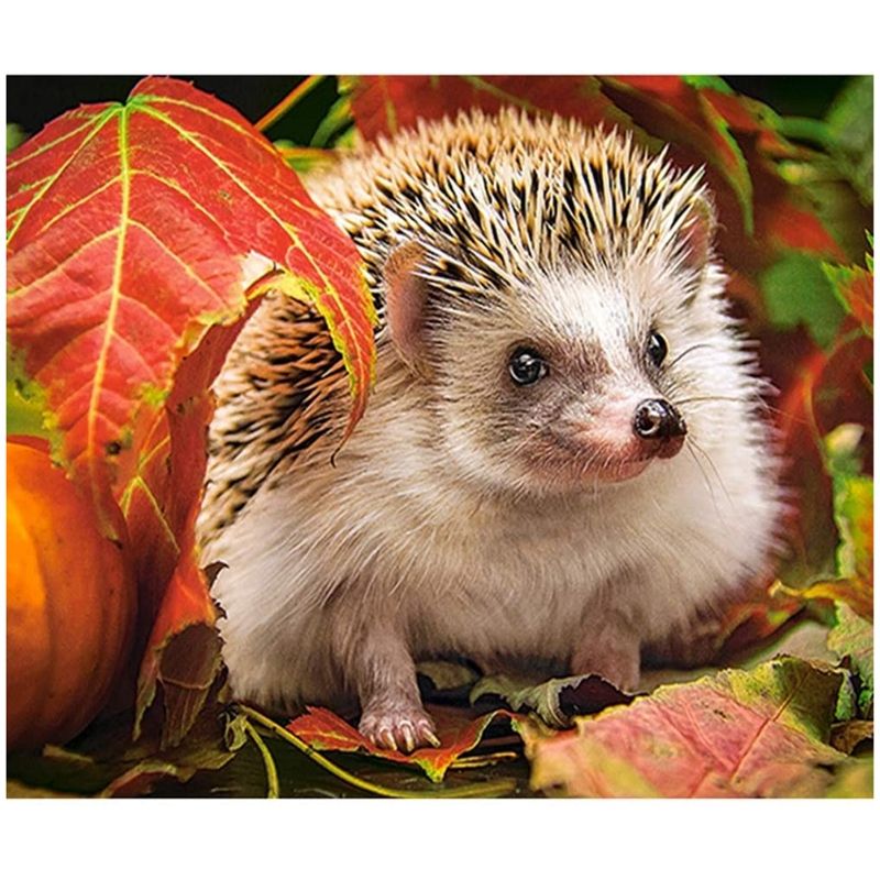 Diamond Painting Full Drill DIY Kit Cross Stitch Embroidery Arts Diamond Painting Kits for Adults Kids Hedgehog