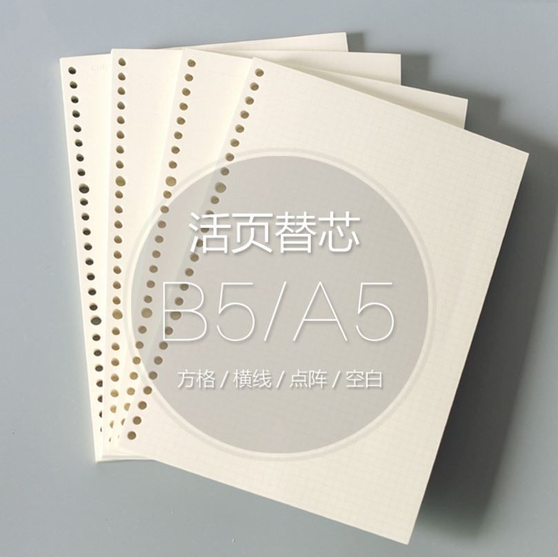 A5 B5 Spiral Notebook Refill Loose Leaf Multi Holes 60 Sheets Blank & Dot Grid & Ruled & Graph Papers(null)