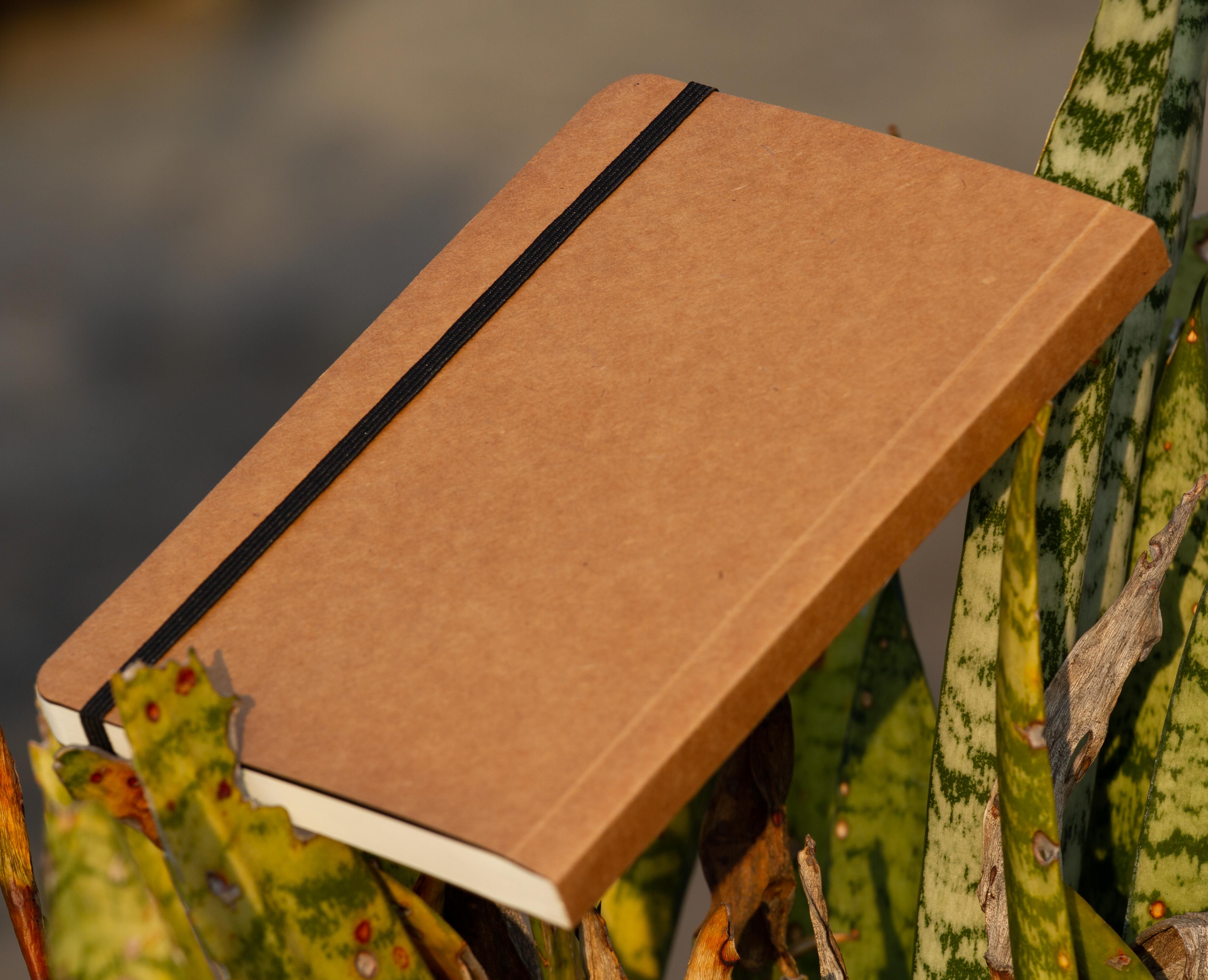 Daily Journal Notebook with Elastic Band