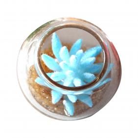 Dollhouseni Succulents Aquarium Potted Random Color Prop Toy Ornament