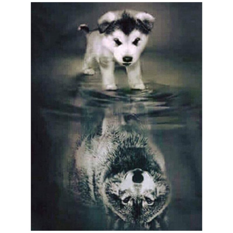 Diamond Painting Baby Wolf Full Round Diamond Embroidery Animals Reflection Pictures of Rhinestones Home Decor