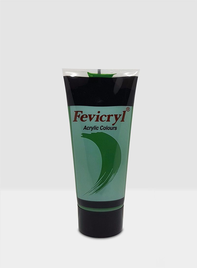 200ML Fevicryl Acrylic Color Tube