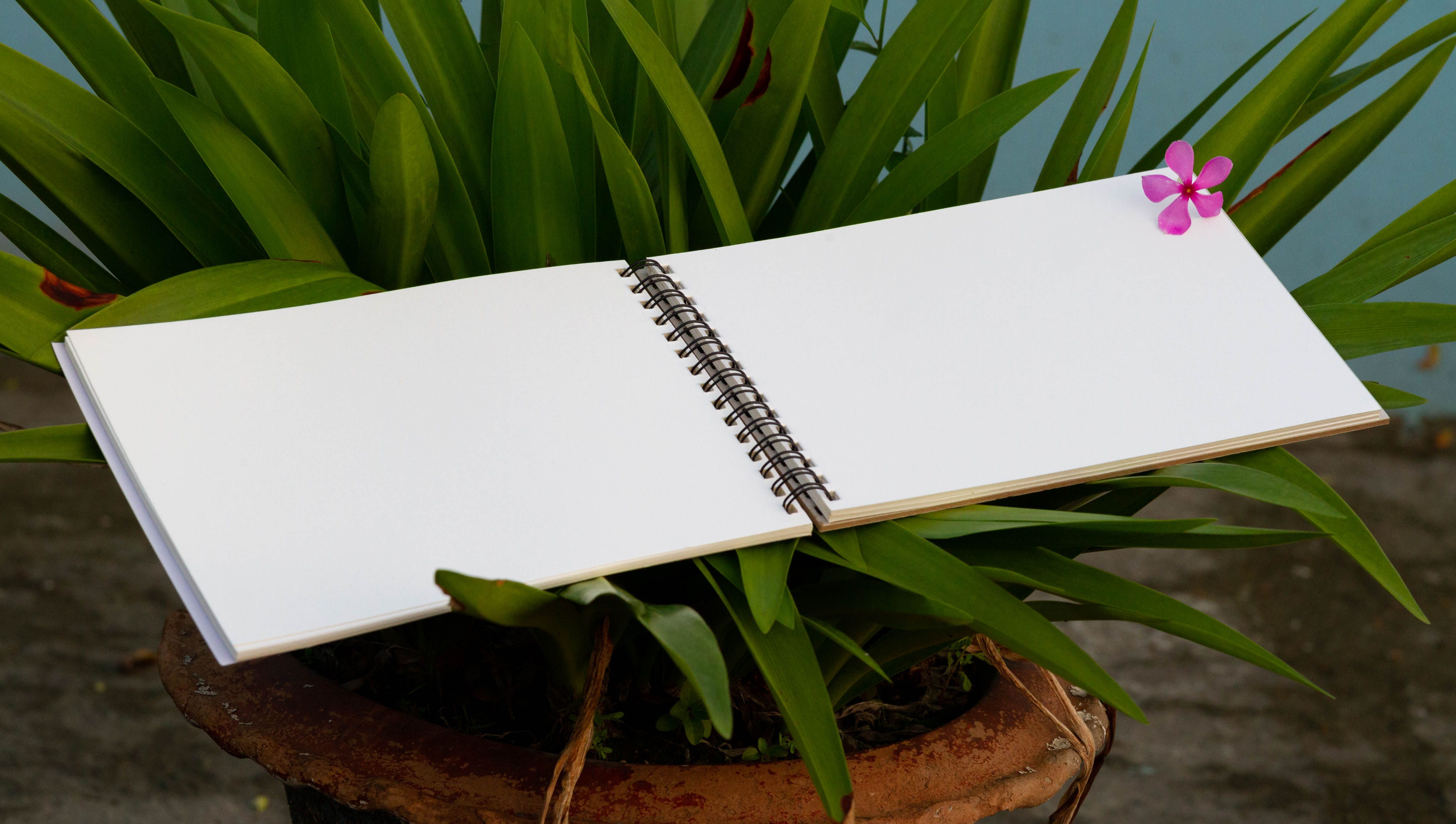 Sevendaysnotes Wide Landscape Series(W- 8.4 in x H- 5.9 in) - No Branding No Publicity Notebook