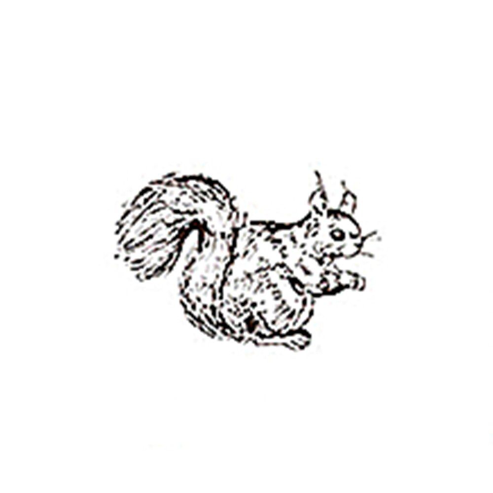 Animal Print Stamp Owl Squirrel Rabbits Wooden Rubber Album Diary Stamps for Scrapbooking Stationery DIY Craft Stamp