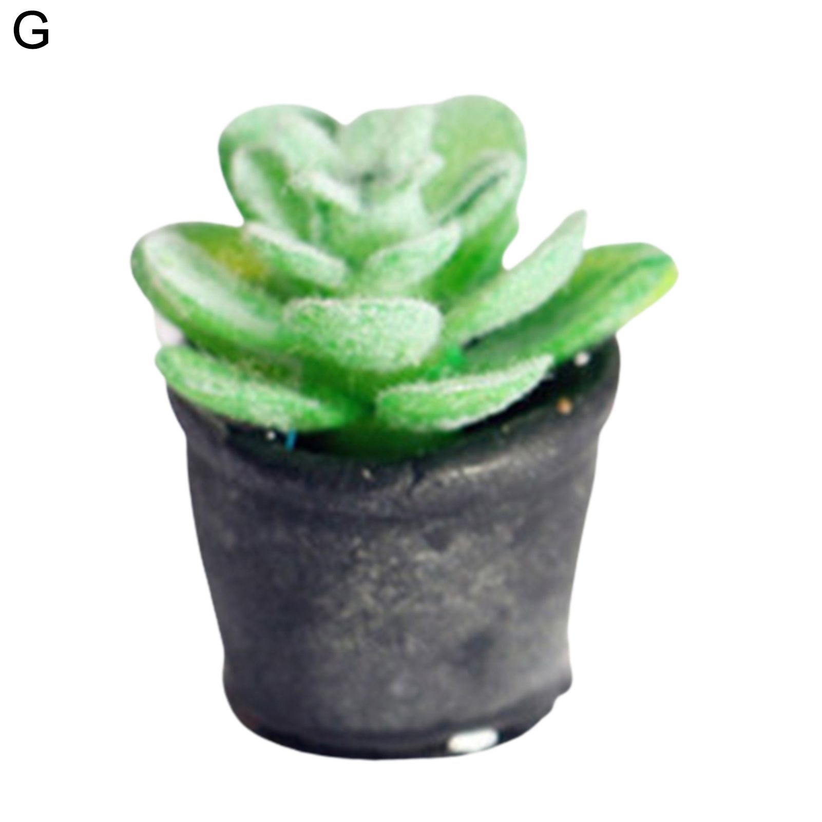ni Potted Exquisite Dollhouseni Succulent Potted cessories