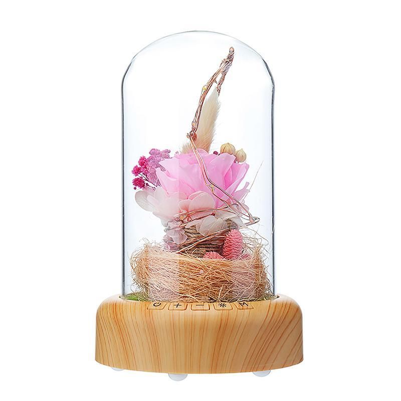 Bloom LED Bluetooth Real Flower Rose Bottle Lamp USB Charge Night Light