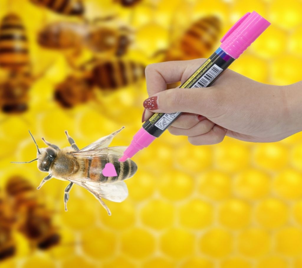 Queen Bee Marking Marker Pen (1 Piece)