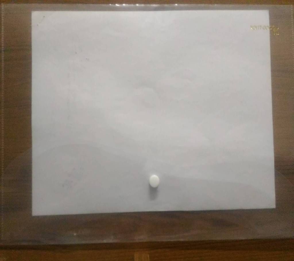 Paper File - 3 pcs