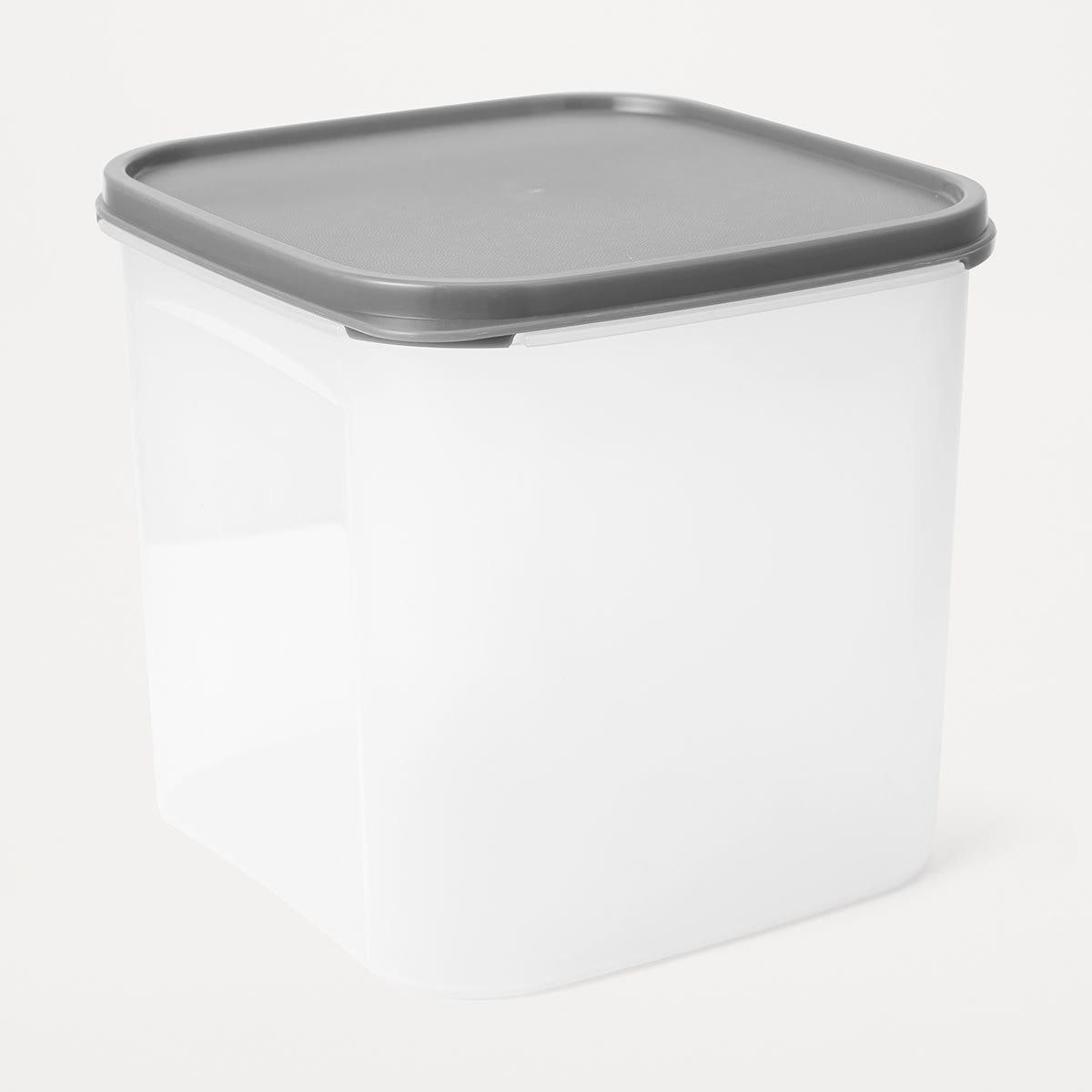 4L Dry Food Storage Container