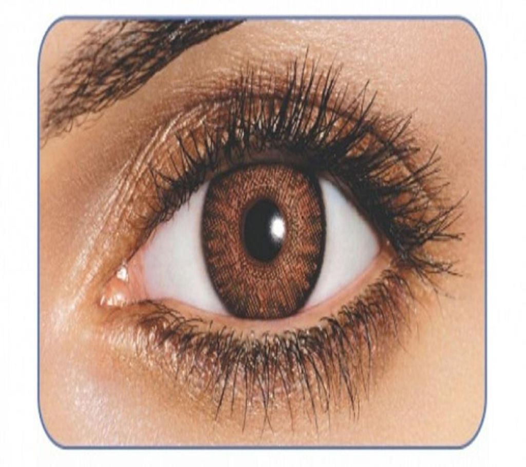 FreshLook contact lens Brown with 120 ml FreshLook solution water