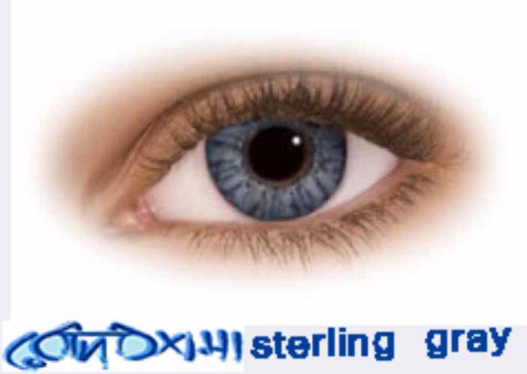 Freshlook Sterling Gray Contact Lens