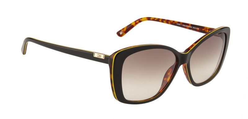 Gradient Cat-eye Sunglasses (58)  (For Women, Green)