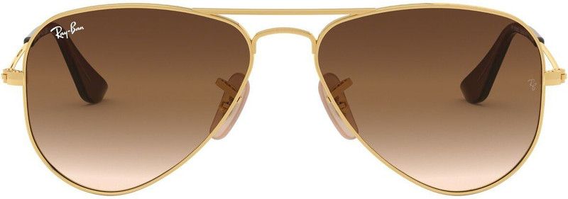 Gradient Aviator Sunglasses (50)  (For Men & Women, Brown)