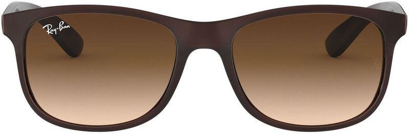 Wayfarer Sunglasses (55)  (For Men, Brown)