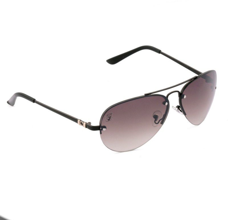 Aviator Sunglasses (Free Size)  (For Men, Black)