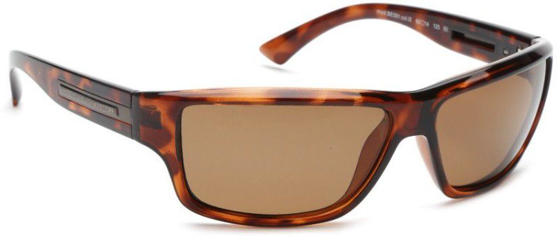UV Protection Round Sunglasses (60)  (For Men & Women, Brown)