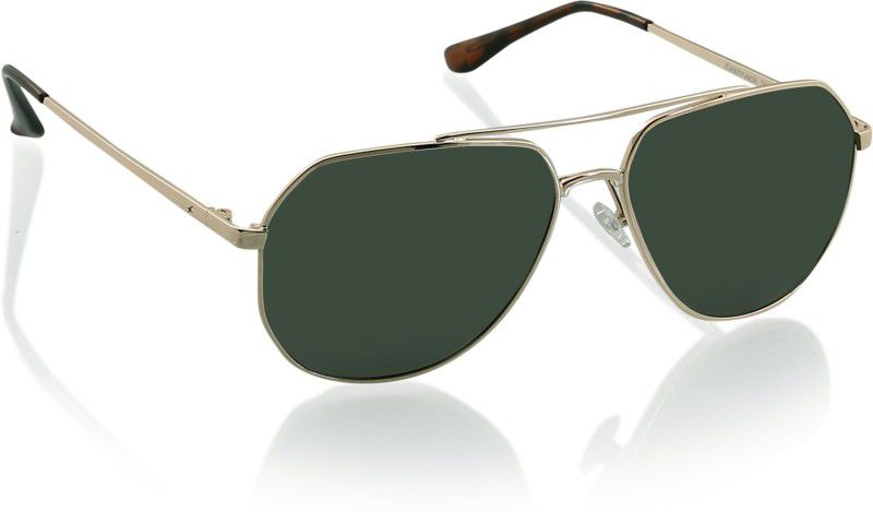Polarized Retro Square Sunglasses (Free Size)  (For Men, Green)