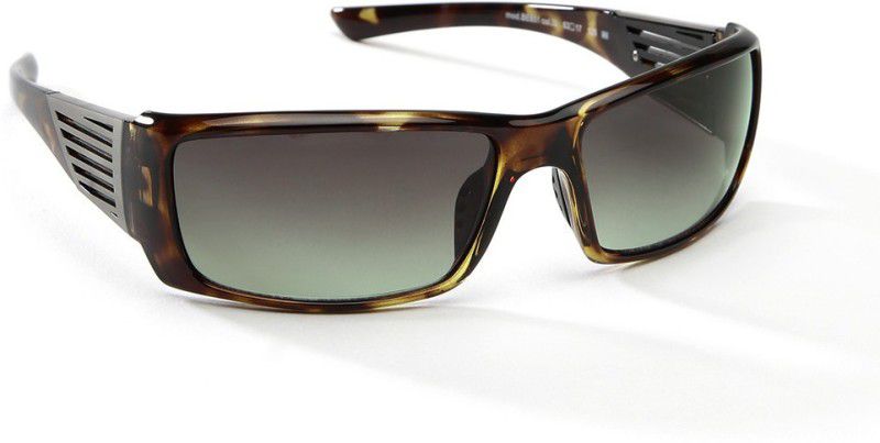 Gradient Round Sunglasses (60)  (For Men & Women, Green)