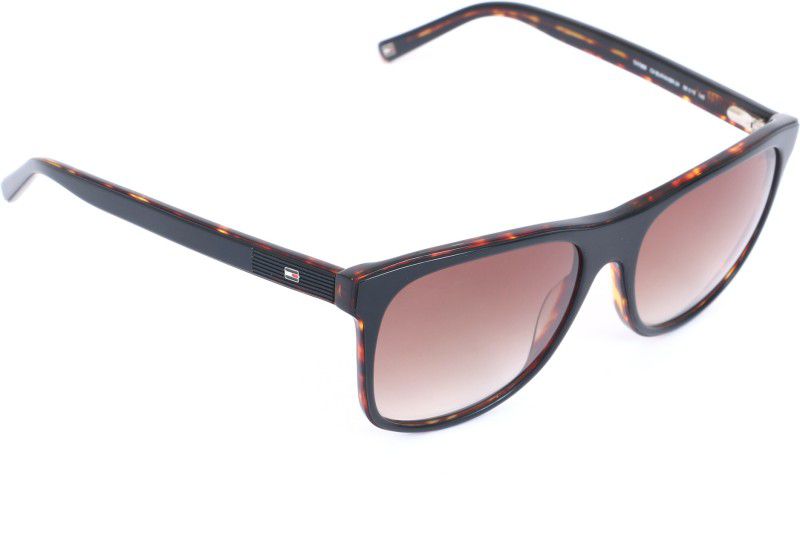 Gradient Retro Square Sunglasses (56)  (For Men & Women, Brown)